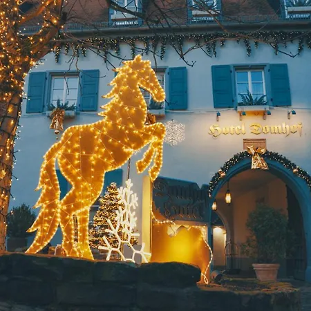 Hotel Domhof-2